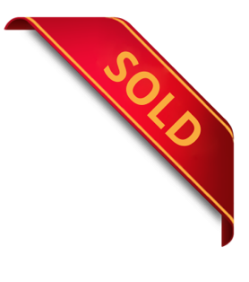 Car is sold icon